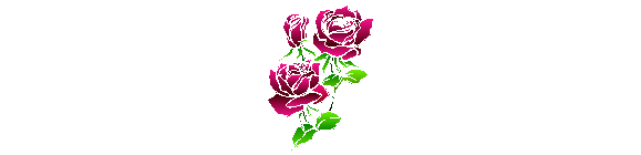 Rosa de l'amor perfecte